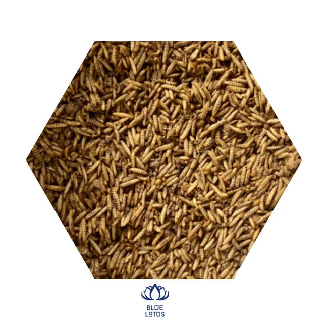 Корм для домашних животных герметия сушеный мучной червь личинки мухи черного солдата-натуральные куриные рептилии и угощения птиц с высоким содержанием белка