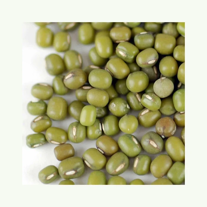 Bulk Quantity Wholesale Supplier Best Quality Green Mung Beans For Sale In Cheap Price
