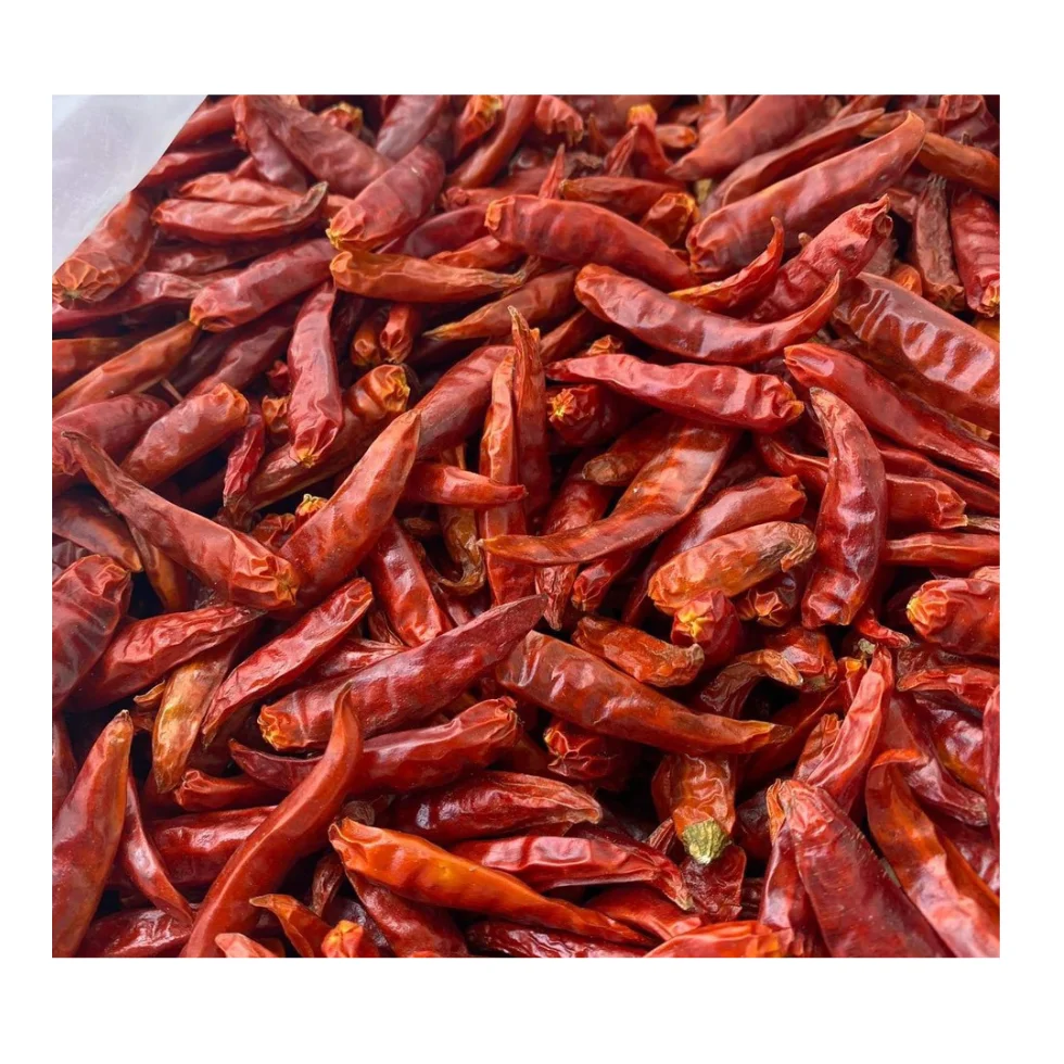 Dried Spicy Red Chili Peppers for cooking and spices from Vietnam/Vietnam Dried Chili Peppers good price  From 99 Gold Data
