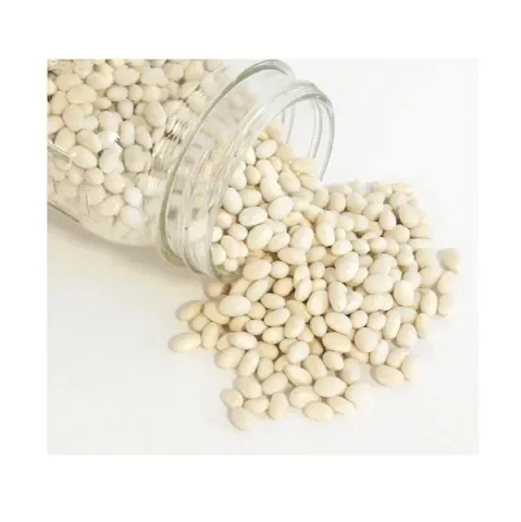 Wholesale Supplier Of Bulk Fresh Stock of Organic Dried White Kidney Beans