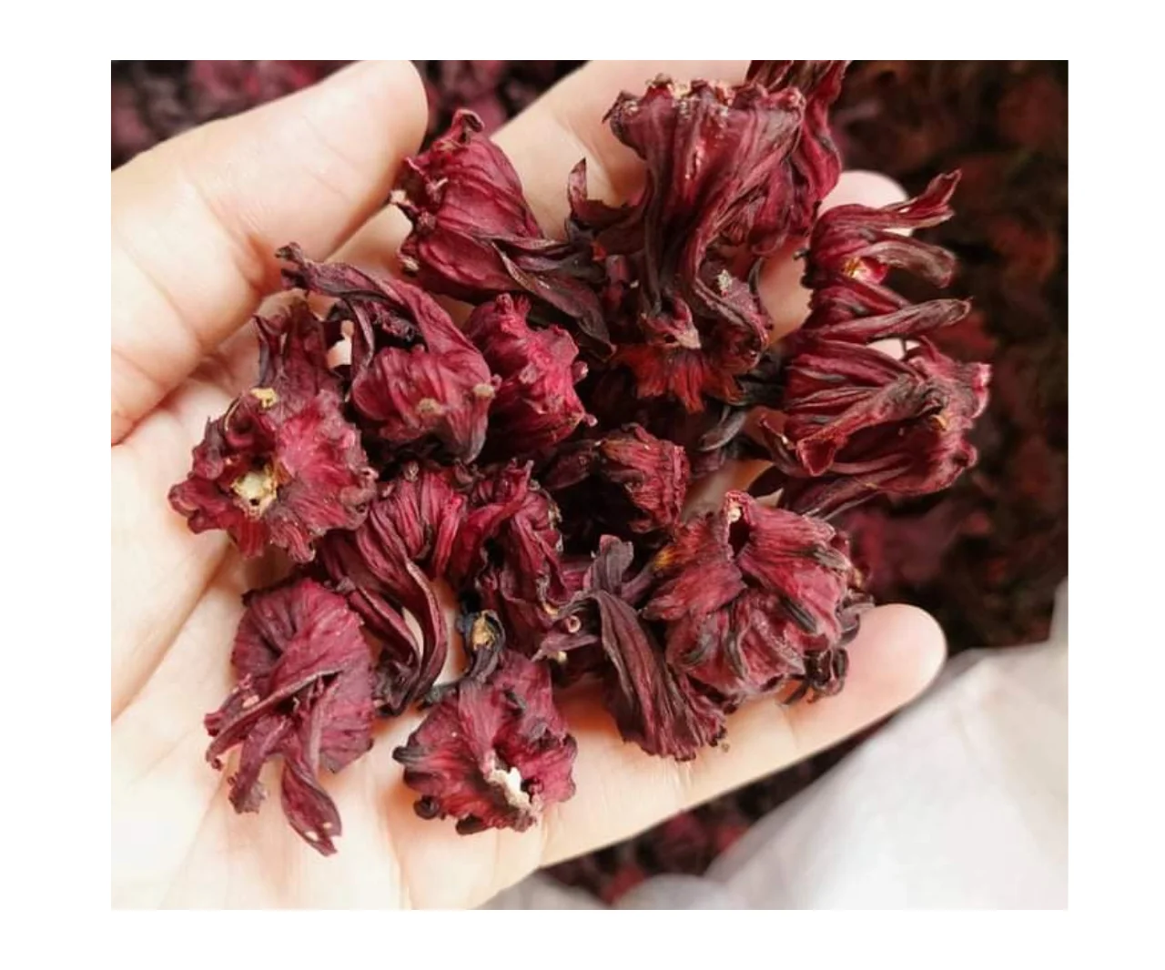DRIED HIBICUS FLOWER/ HIBISCUS TEA/ 100% NATURAL FOR SALES FROM VIETNAM