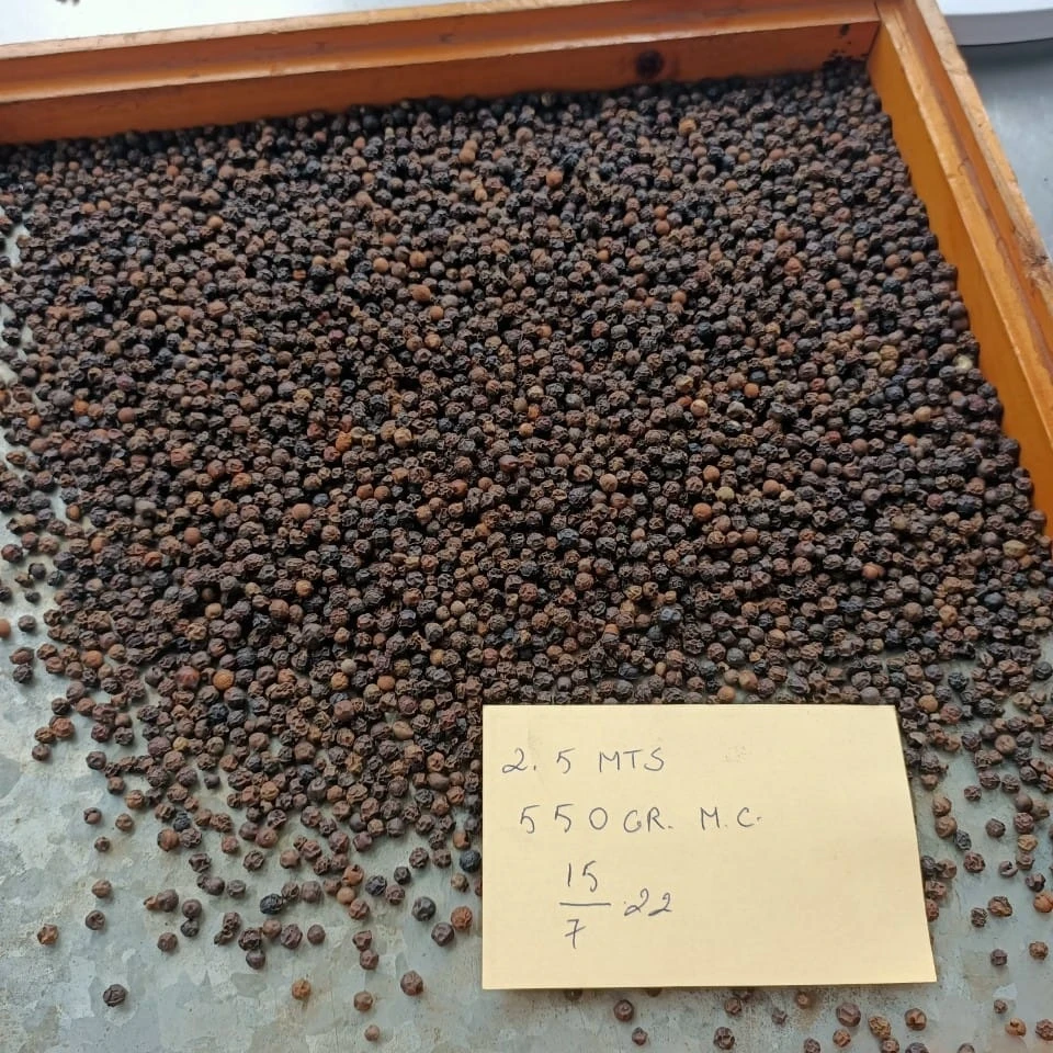 New Season High Quality Black Pepper Peppercorn Hot Spices From Vienam Farm
