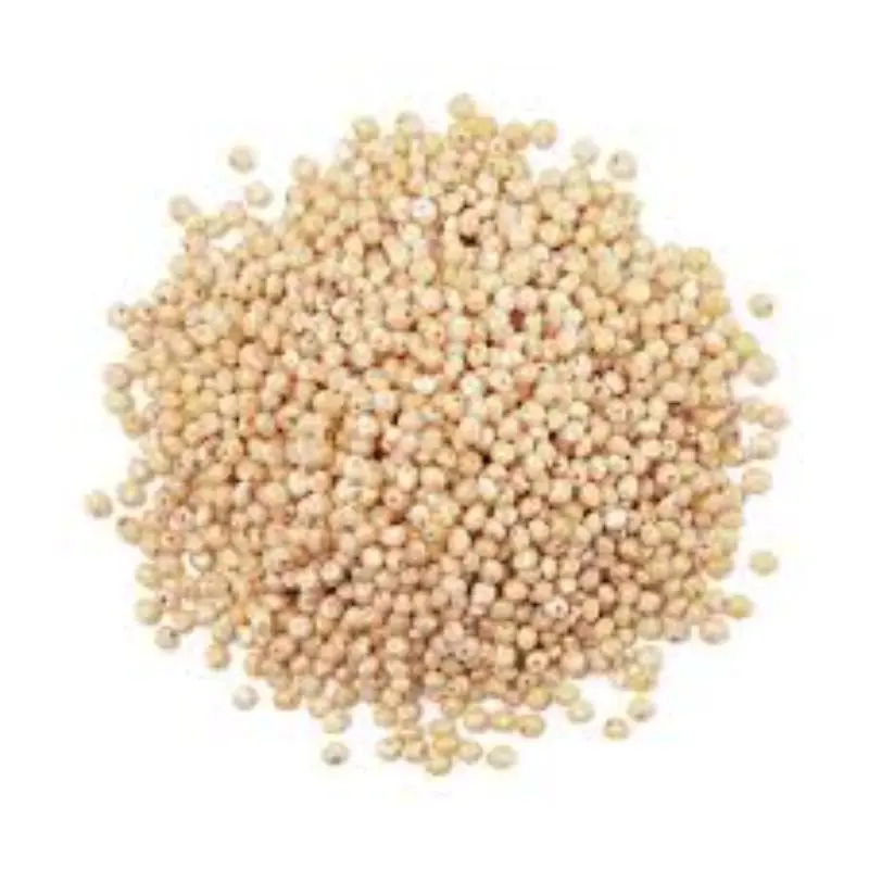 Sorghum Available For Sale