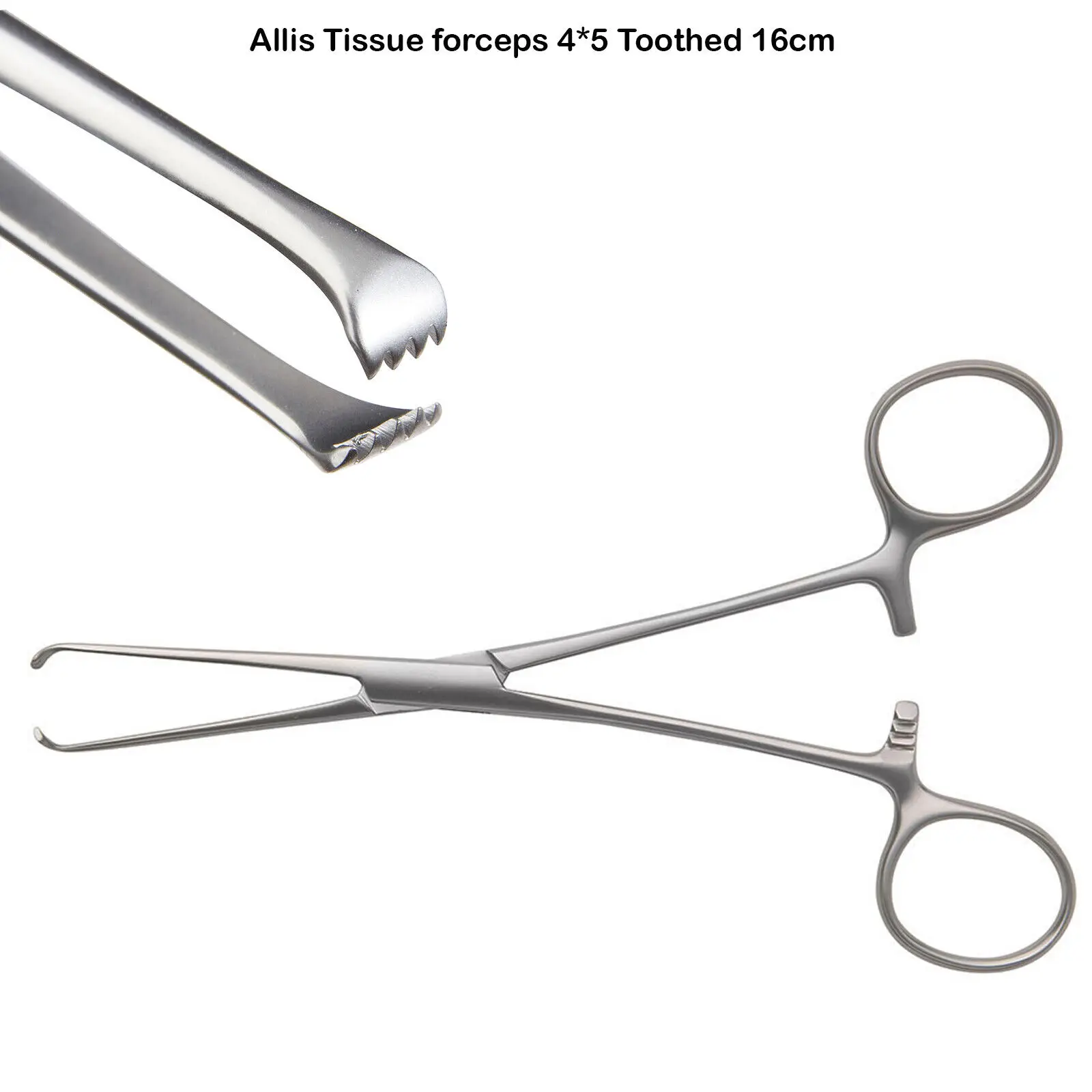Surgical Allis Tissue Forceps Teeth Veterinary Piercing Instruments 4 x 5 UK