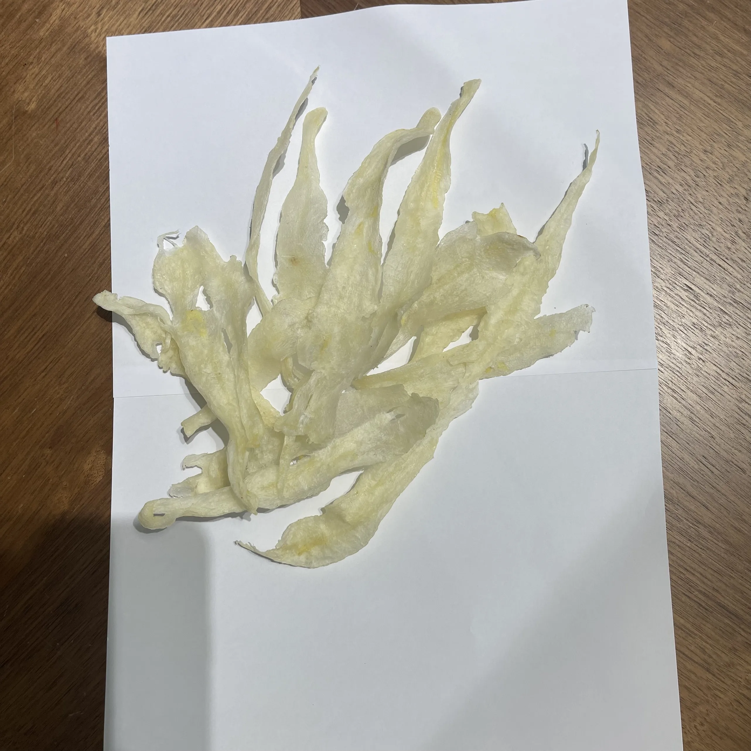 FISH MAW SUN DRY FISH MAW NATURAL PREMIUM QUALITY FISH MAW FROM VIETNAM