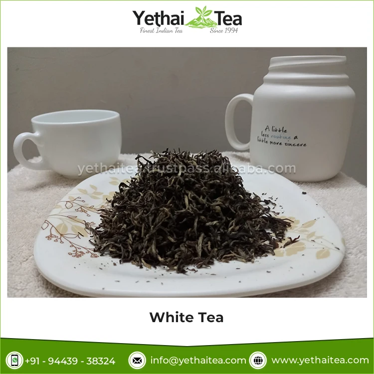 New Wholesale Supply Top Quality Premium Grade 100% Natural Beverage White Tea Silver Needle Loose Leaf Tea for Men & Women