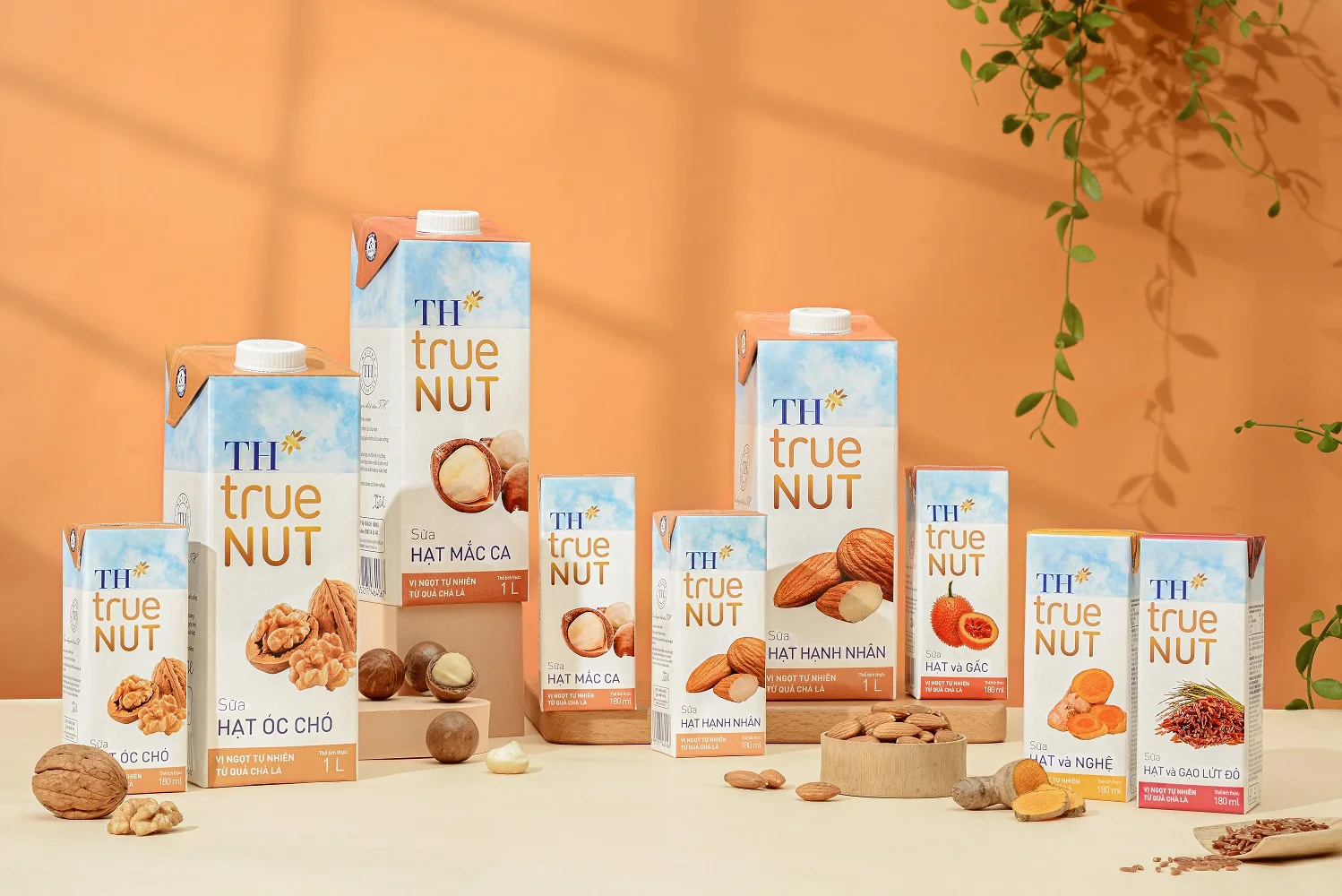 Walnut Milk TH true NUT 1L 9 Months Shelf Life Blended Dairy Products Sterilized Drink Flavored Milk