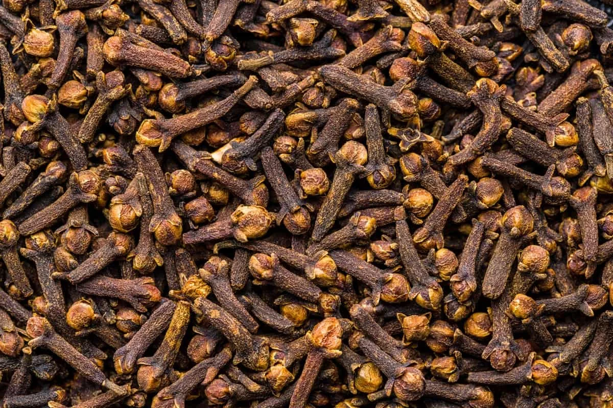 Best Selling Premium Wholesale Buyer Raw Spice Natural Dried Price Of Cloves High Quality Clove Spice for sale