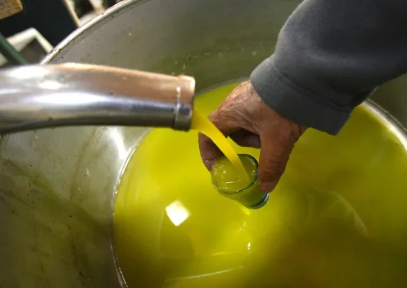 Premium Quality Pure Extra Virgin Olive Oil Made In Turkey 100% Pure and Organic Agrowell Turkish goods