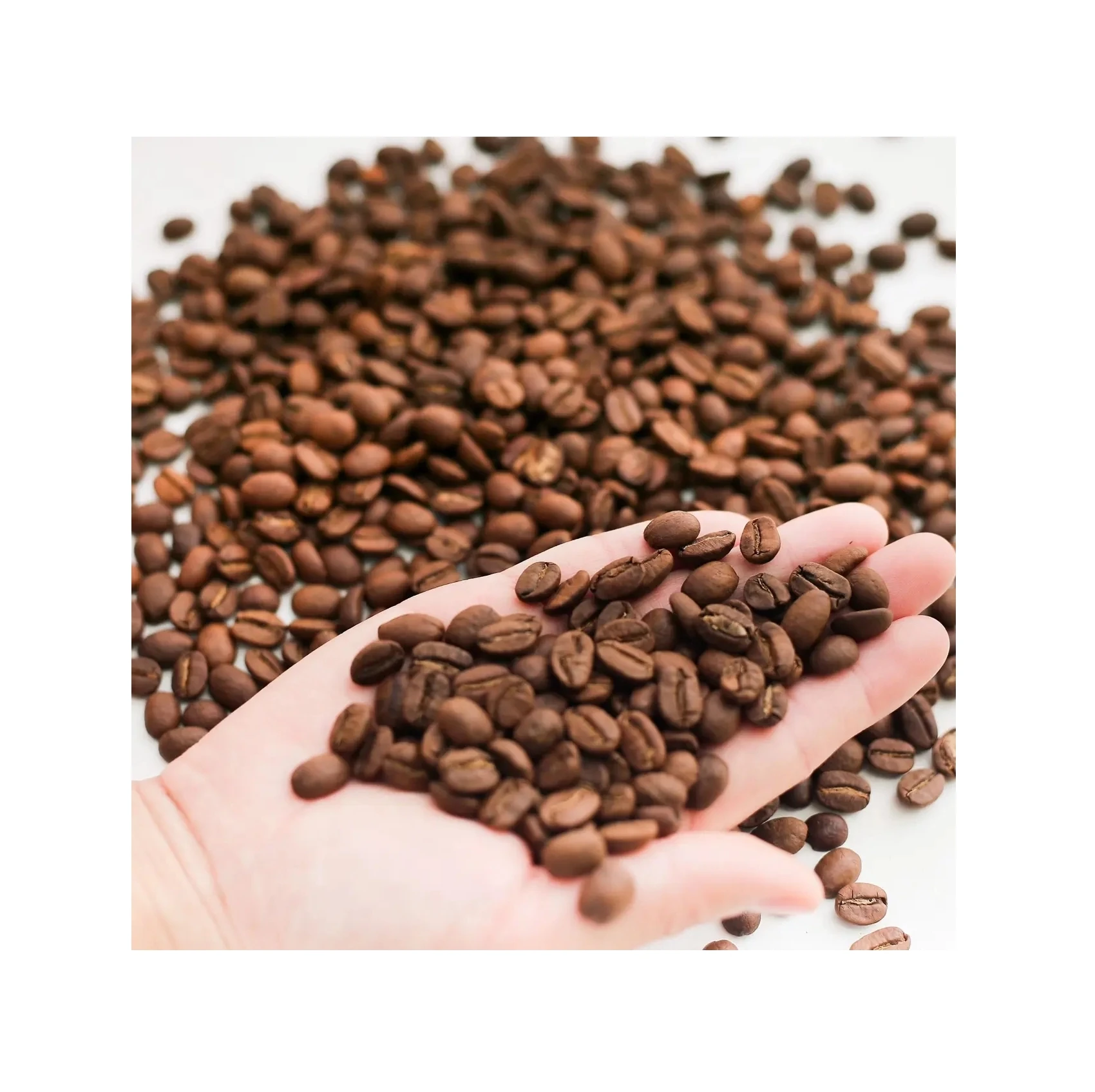 Whole Sale Price Vietnam Robusta & Arabica Coffee Beans 100% Natural Green Coffee Bean High Quality