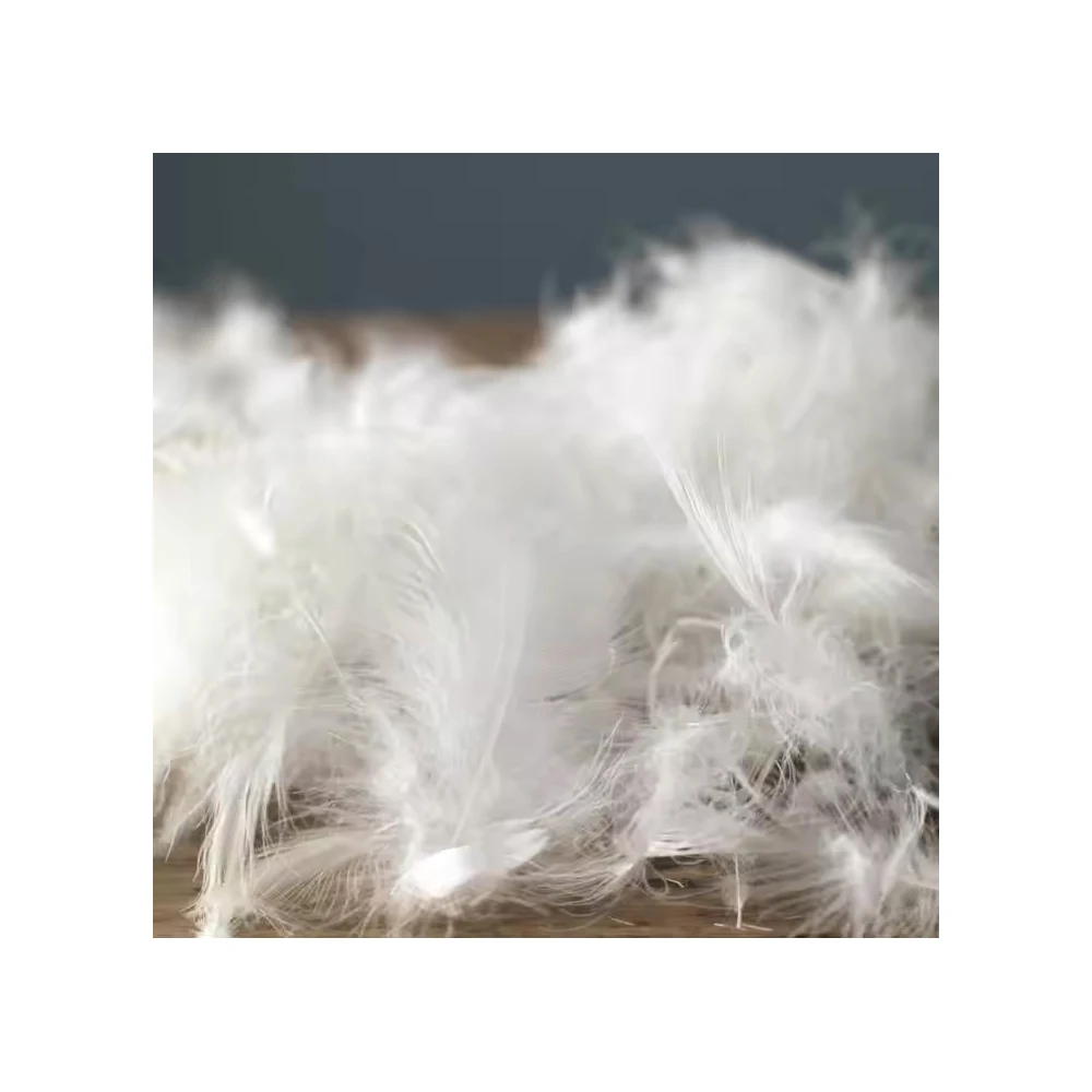 Premium Washed Duck Feather Filling for Bedding Cushions and Upholstery Soft Hypoallergenic and Durable with Wholesale Price