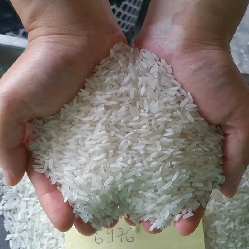 Long-Grain Rice (5% - 25% - 100%) Broken Wholesale Best Quality/ 5 % Broken Ratio Fast Food Polished And Brown Rice