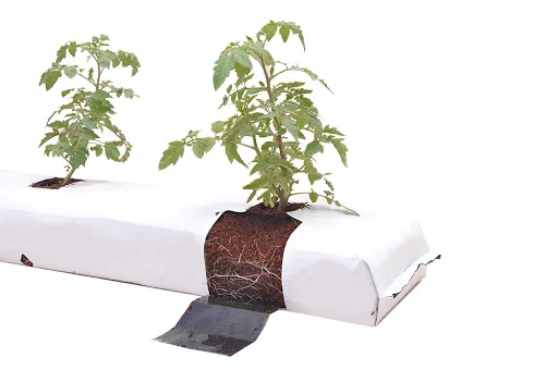 Coco Peat Grow Bags for Plants for Melbourne Nigeria Canada US Made of Plastic