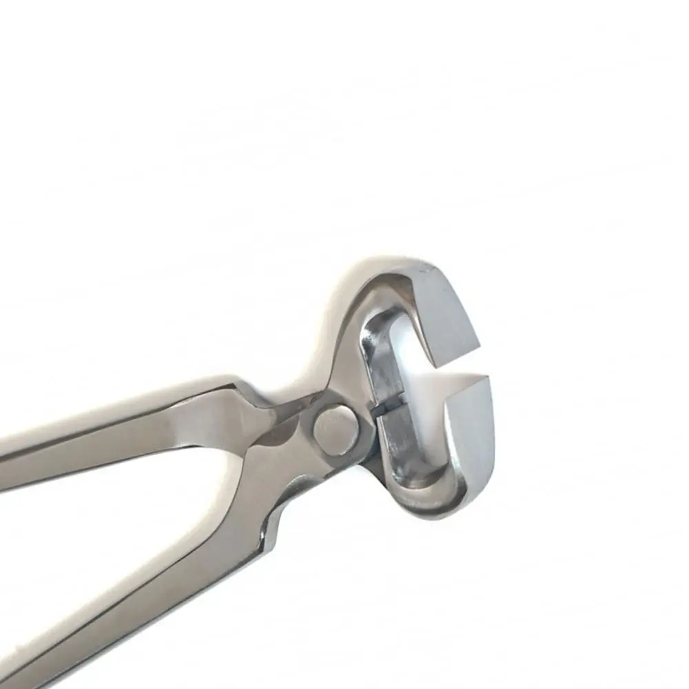 Hoof Nippers Hoof Nail Care Farrier Tools Horse Veterinary Supplies For Sale