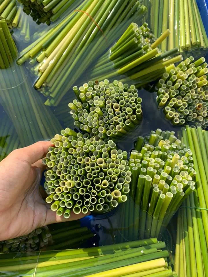 Eco2go Vietnam With High Quality Grass Straws/ Straws Grass/ Grass Straws Biodegradable  Eco Friendly