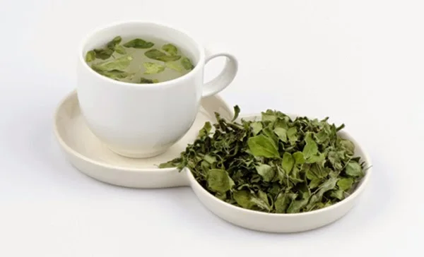 High Quality Herbals Tea 100% Natural Dried Moringa Leaves Originated from Vietnam with Low Price