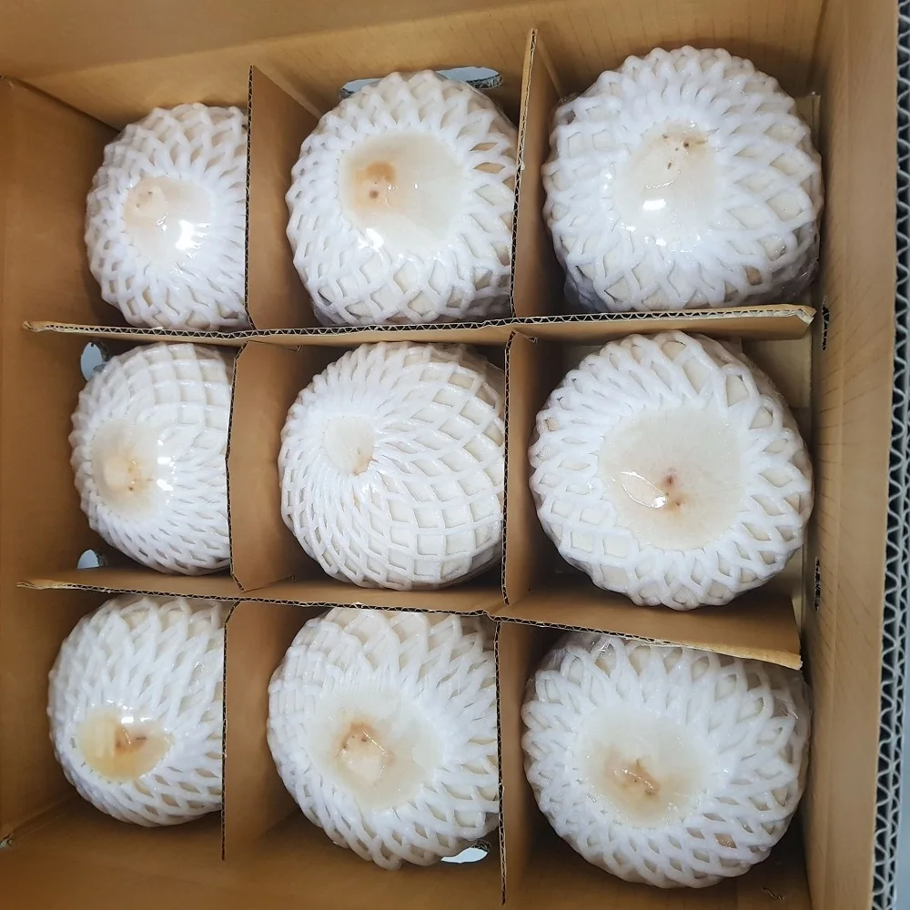 Свежий молодой кокосовый сладкий тропический фрукт премиум класса оптовая продажа экспортной продукции из Таиланда