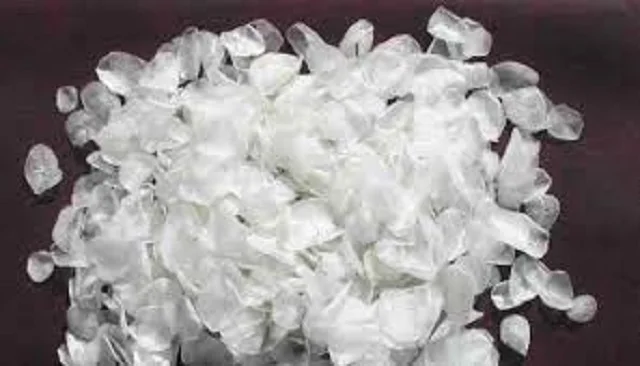 HOT SELLING Dried Fish Scales From Vietnam/ Dried Fish Scales With Low Price