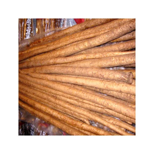 Fresh Burdock Golden Burdock and fresh Burdock