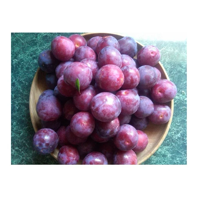 Cheap Wholesale Top Quality Fresh Fruits Plums In Bulk