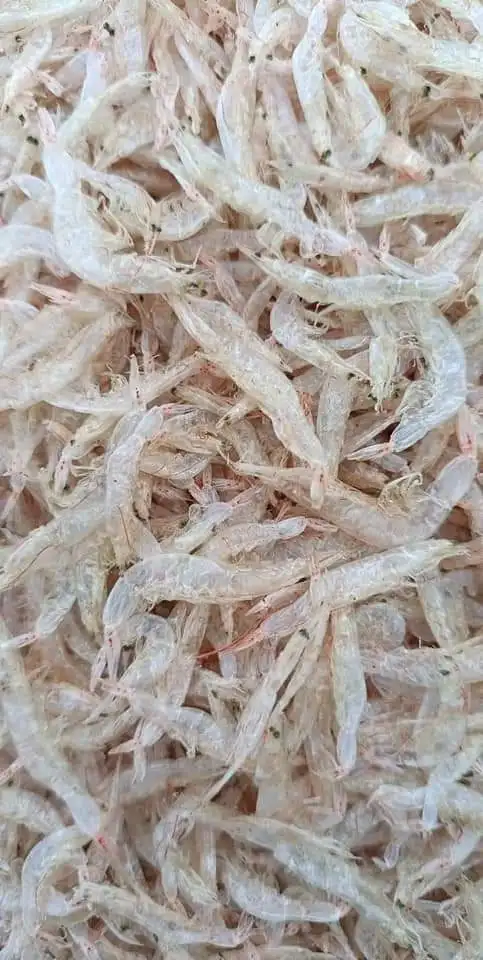Dried Shrimp Price  Best Taste Cooking Multi Use Processing Type Delicious Flavor Dried Baby Shrimp Vietnam