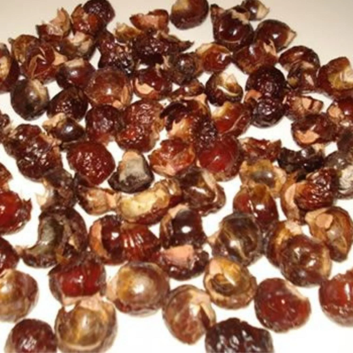 Ракушки для мыльных орехов-ракушки для натурального мыла-ракушки для мыльных орехов полностью сломанные-этнически полученные-выращенные в Индии