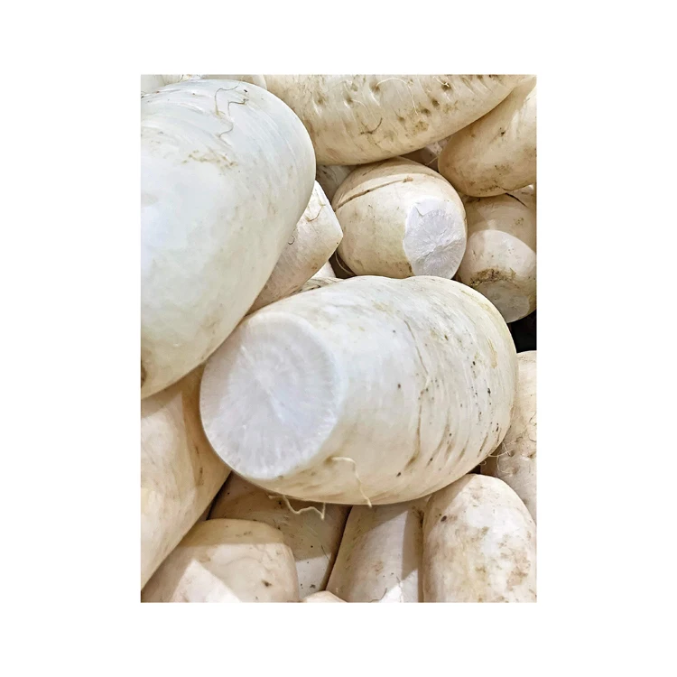 Редис из свежих овощей высшего качества для продажи по лучшей цене