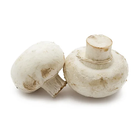Fresh Mushroom from South Africa Market  in competitive price for bulk quantity upto 10 ton