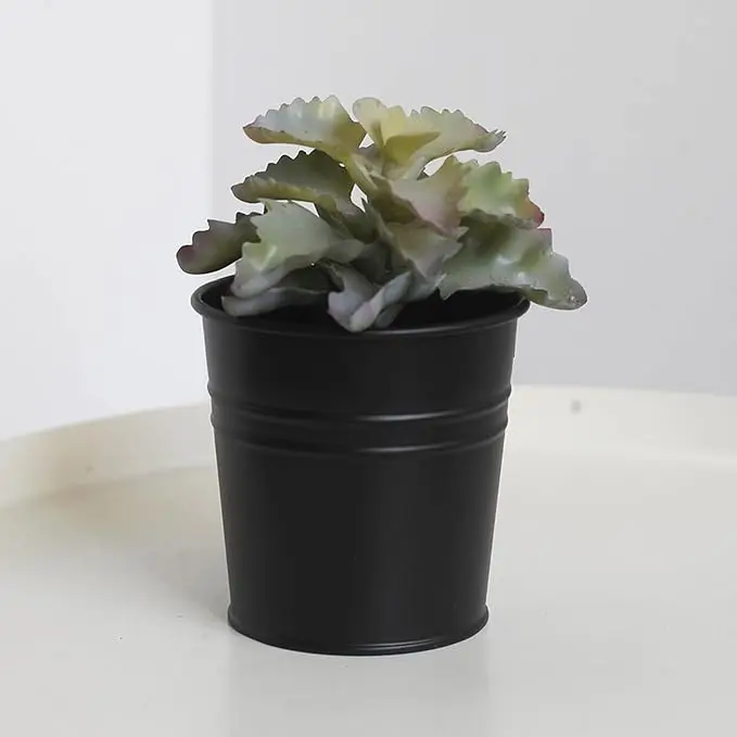 Wall Hang Planter Metal Bucket Hang Balcony Garden Planter Home Decor for Garden Fence Balcony Home