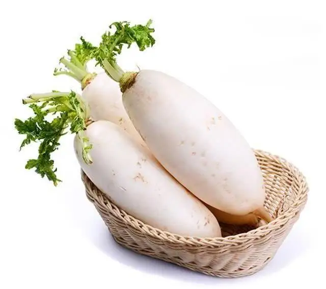 Radish3.jpg