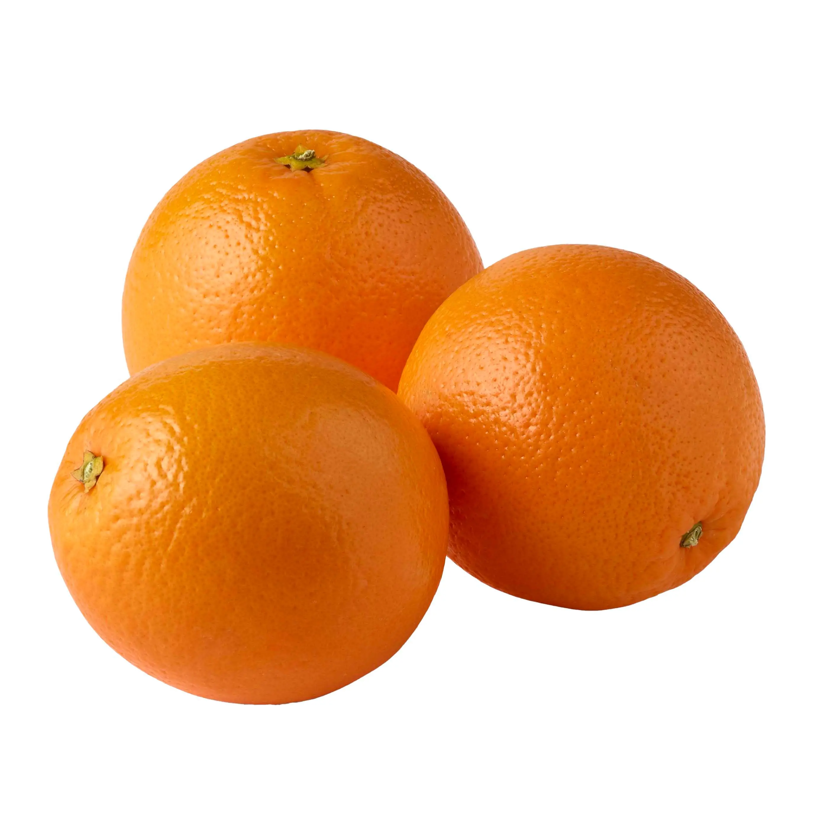 100% Pure Natural Fresh Citrus Naval Oranges, Valencia Orange