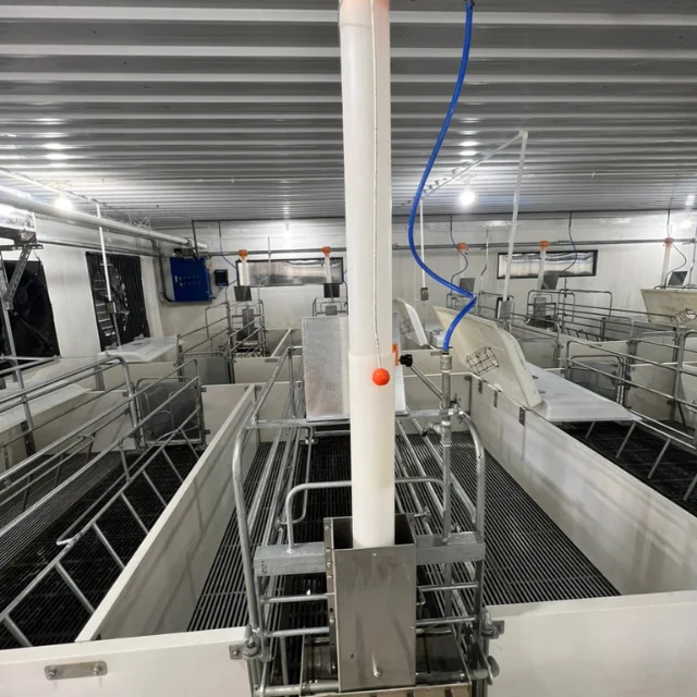 Good farrowing cage for pigs Stainless Steel   Vietnamese Manufacturer Top Selling   pig farrowing barn