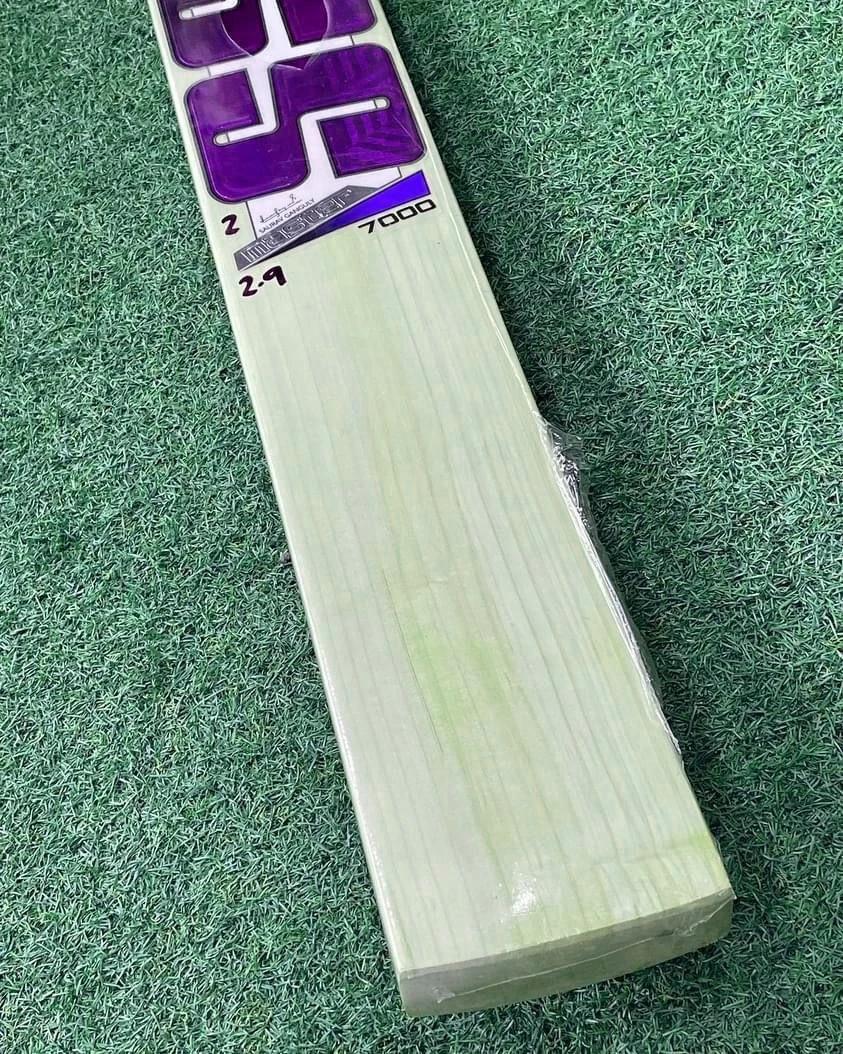 SS TON ENGLISH WILLOW CRICKET BAT