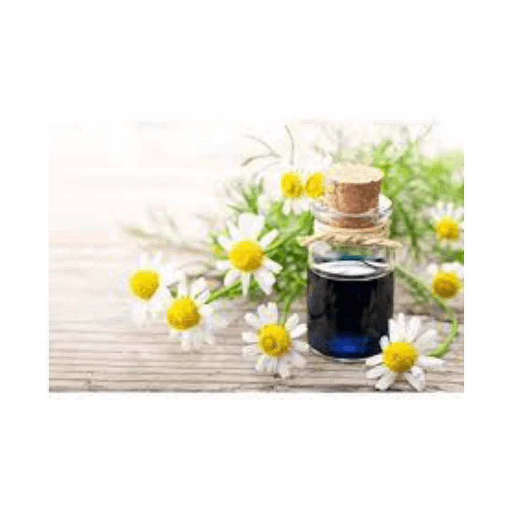 Hot Selling Customized Label Indian Professional Manufacturers Top Quality Wholesale Natural Essential Oil German Chamomile Oil