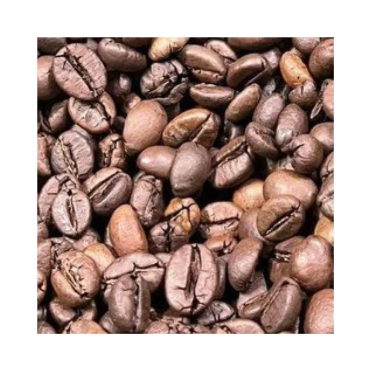 Roasted Arabica Reasonable Price Vietnam Raw Green Coffee Beans Beans Customized Logo Vietnamese Coffee Manufacturer