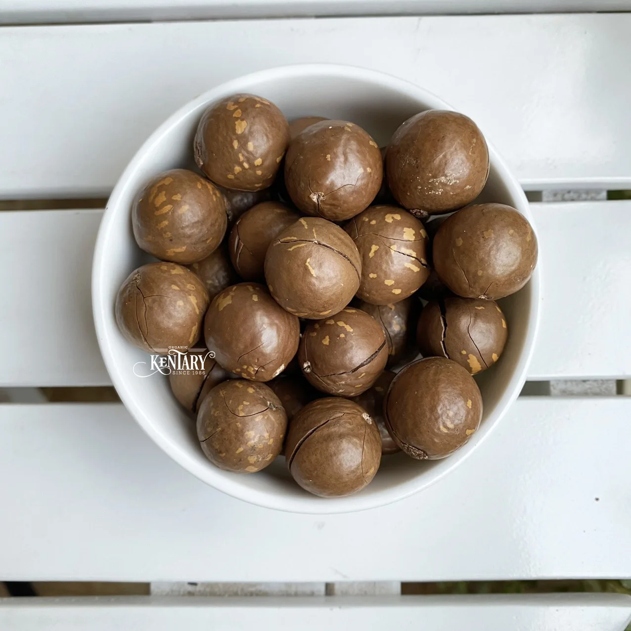 Bulk Macadamia Nut Cracker In Sell Hight Quality Best Price Made in Vietnam 100% Pure non GMO