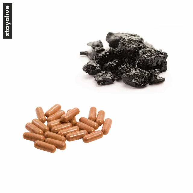 High Quality Shilajit Extract Capsules  | Shilajeet | Vegetarian Capsules | OEM Service (60,90,120Capsules)