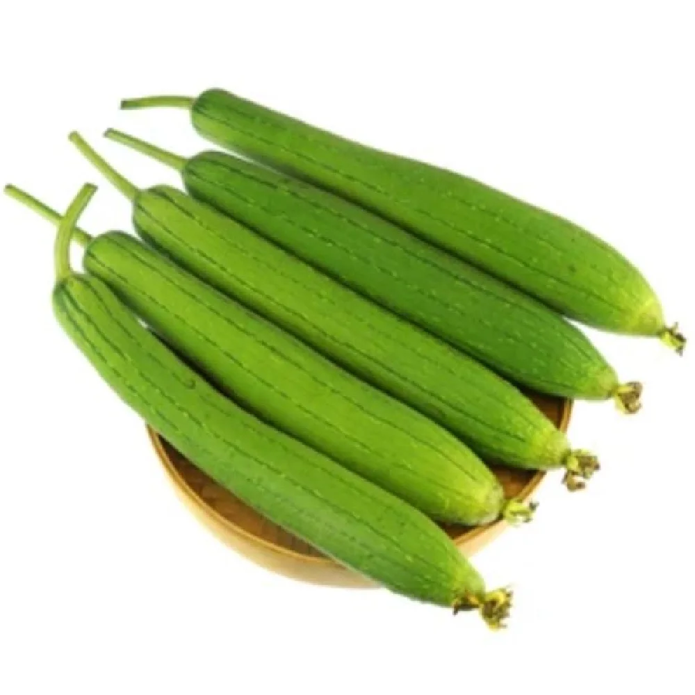 Fresh Good Packaging Organic Agriculture Color Health Natural Origin Vegetable Dhundul Sponge gourd Wholesale Reasonable Price