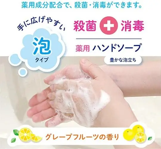 Wholesale Hand Soap Daiichi Medical Foam Hand Soap Refill 900 ml