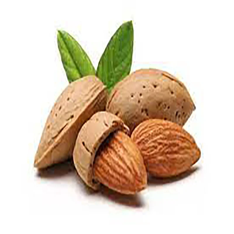Factory price Almond Nuts / Sweet Almond Nuts