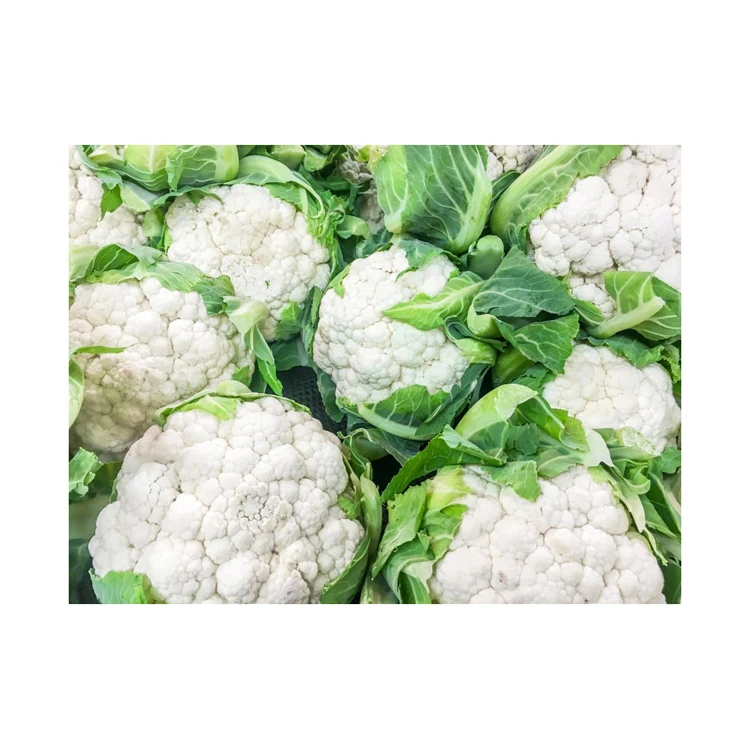 Hot Selling Price Fresh Vegetables Cauliflower in Bulk