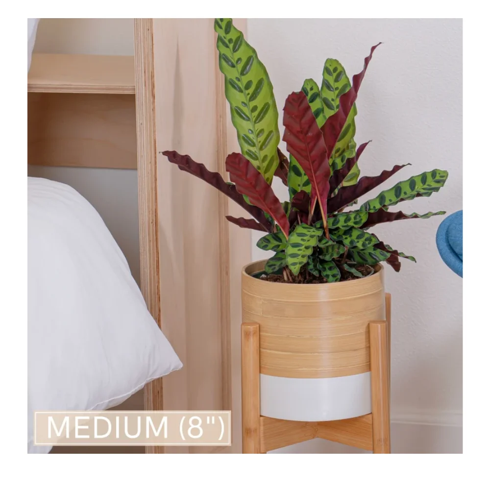 Wholesaler handcrafted eco-friendly modern planter spun bamboo planters pot for indoor plants made in Vietnam