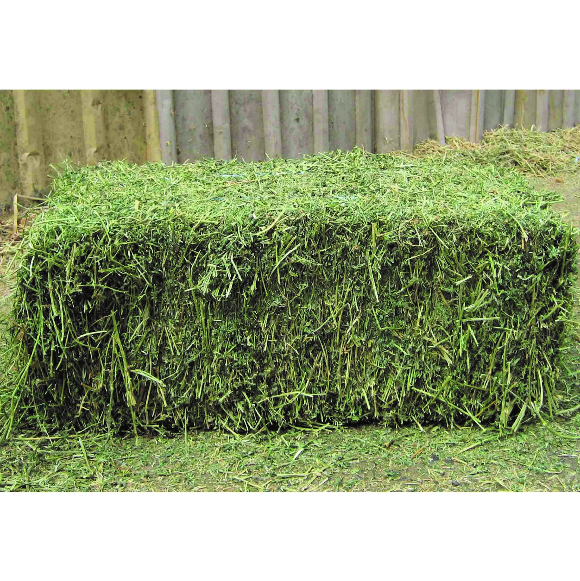 Распродажа сено Lucerne