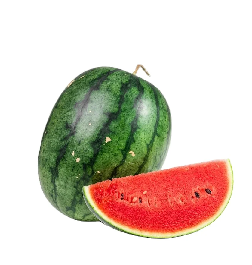 Watermelons Wholesale Get in Bulk Rates Fresh Melons Premium Organic Epxort Quality with Customized Packaging Service
