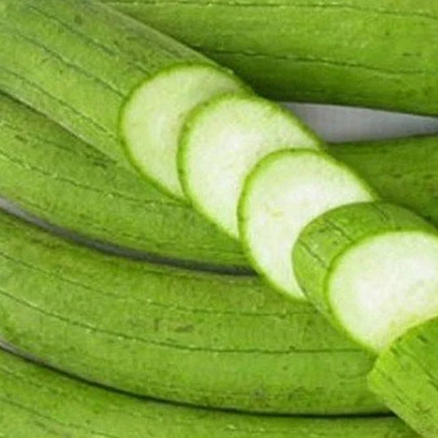 High Quality Luffa Aegyptiaca / Sponege Gourd Vegetable Soup Origin Viet Nam