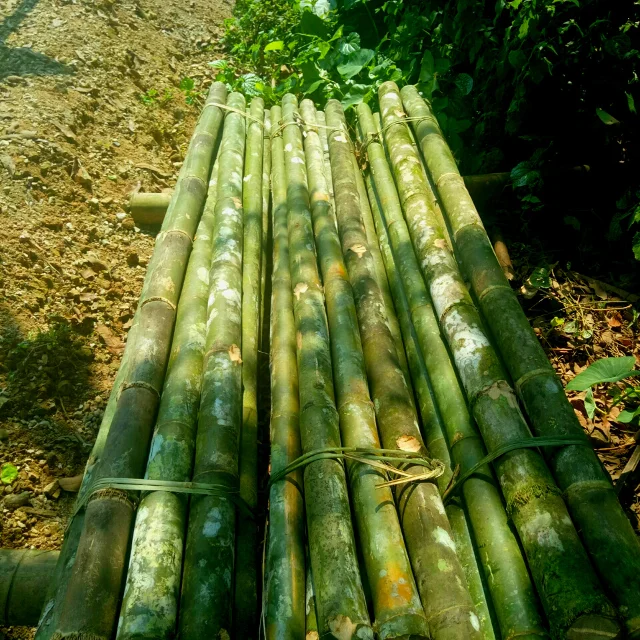 Высококачественный деревянный шест из необработанного бамбука/бамбуковые стержни из натурального волокна