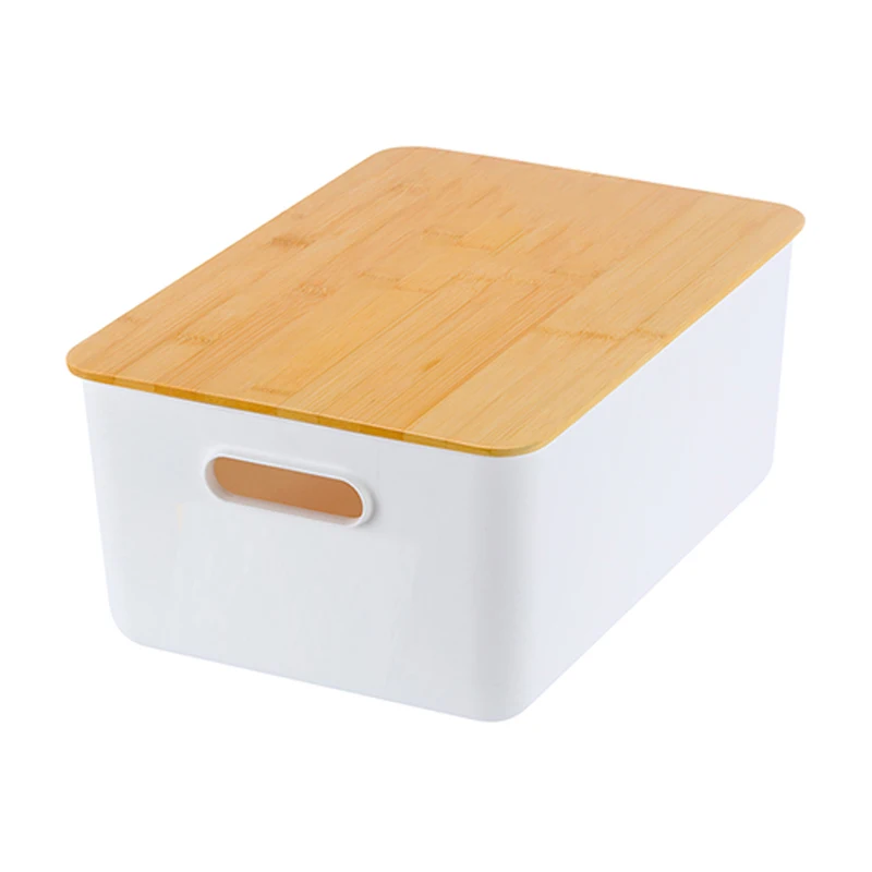 Small Storage Case Tool Box with Handle - White