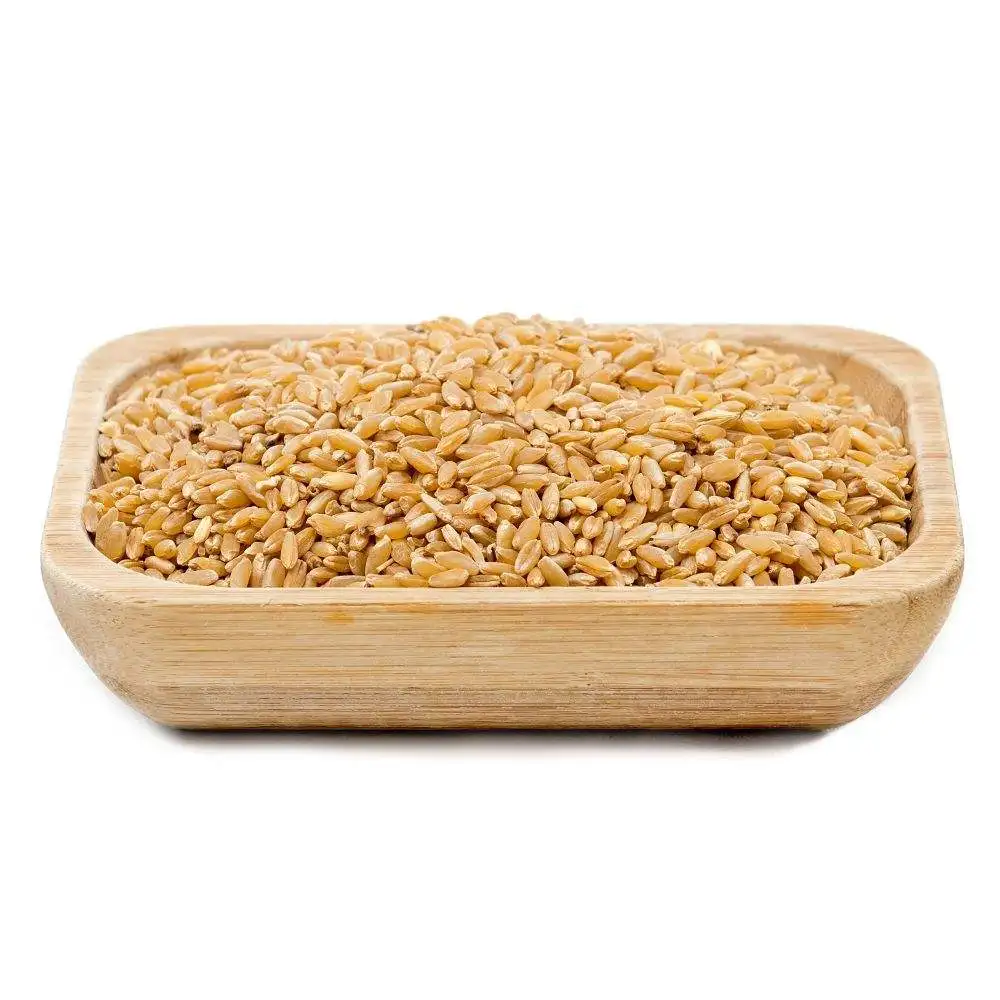 High Quality Durum Wheat Grain and Oats for Food Industry Reliable Supplier of Beans and Seeds for Sale