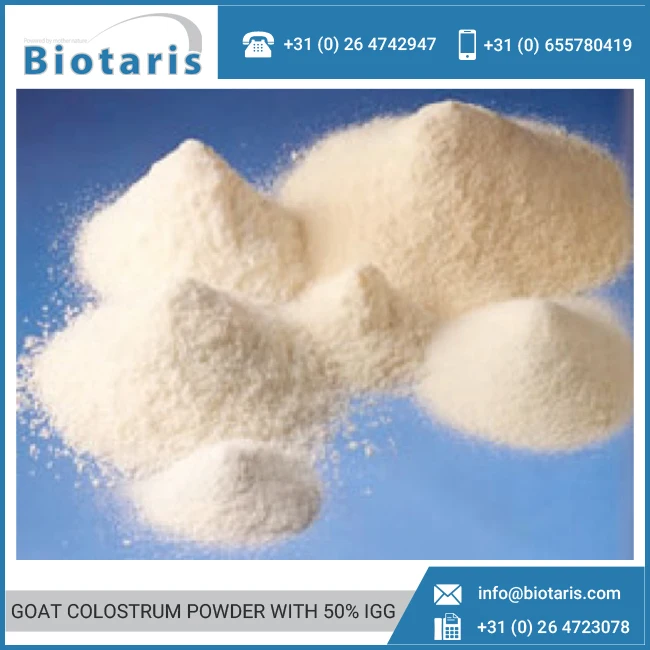Hot Selling Pure CoA Goat Colostrum 8% IgG Milk Powder