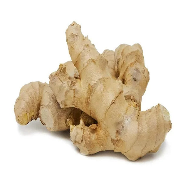 Ginger fresh ginger export high quality new crop in carton for wholesale fresh ginger